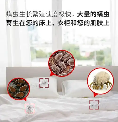 螨虫天敌中草药除螨包床上用去螨虫沙发衣柜诱螨杀菌免洗除尘螨贴_优