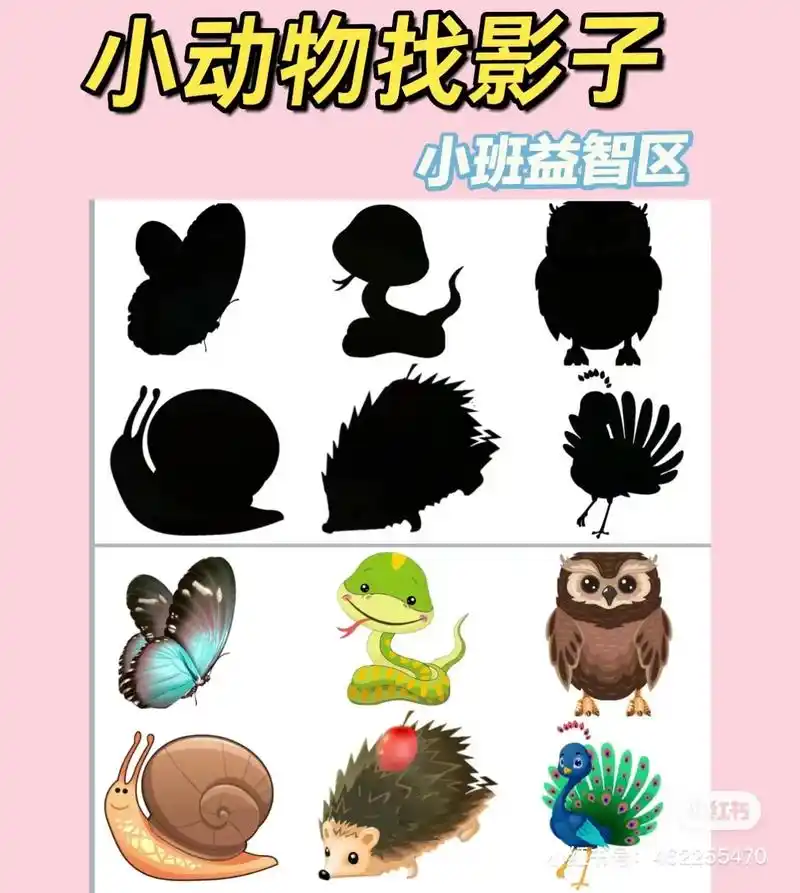 幼儿园小班益智区可打印素材小动物找影子.#幼教资源共享 #环 - 抖音