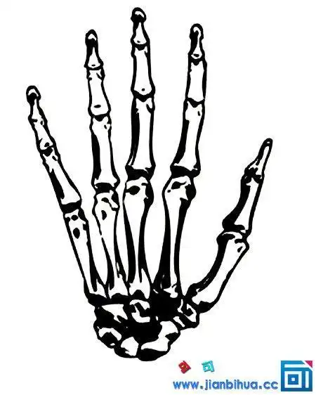 万圣节骷髅头简笔画 万圣节用骨骼骷髅简笔画素材图片万圣节简笔画