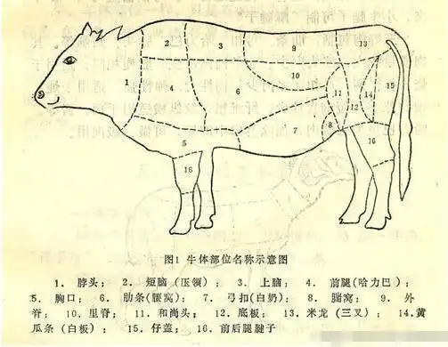 牛生病的时候给牛输液,你猜注射脖子好还是耳朵好?