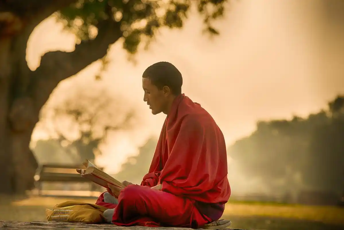 菩提树下的修行