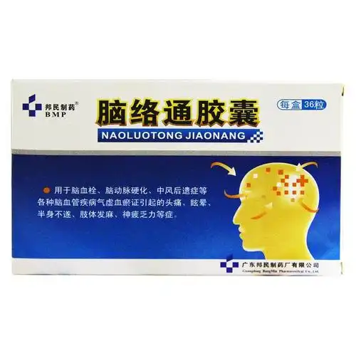 脑络通胶囊(邦民制药)