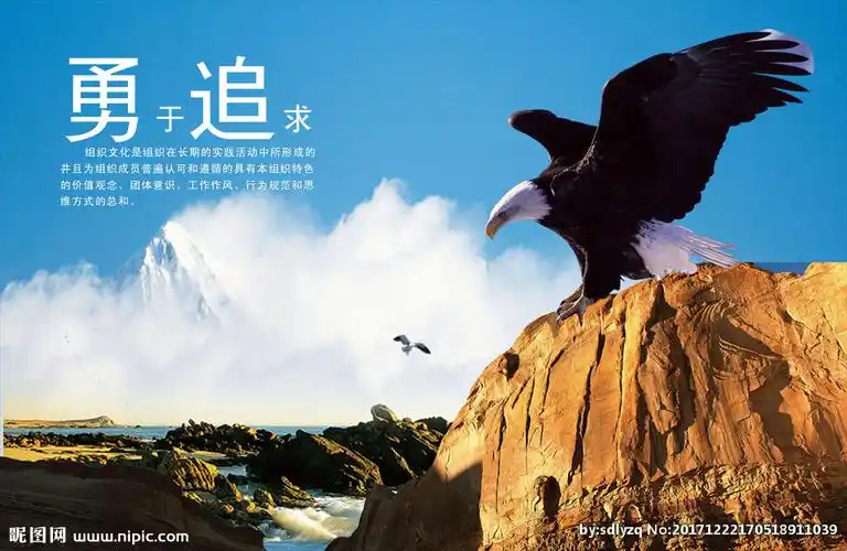 雄鹰展翅凌空飞翔图片