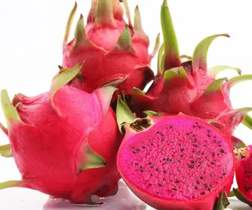 红色火龙果有啥营养