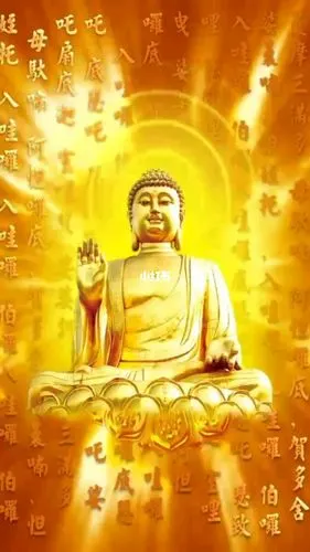 迎南无本师释迦牟尼佛圣诞05050505祈求佛祖保佑平安吉祥!