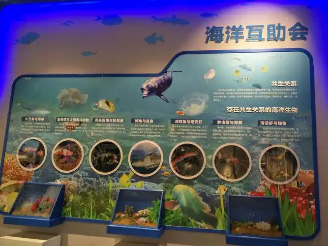 安哲小学四.二班刘鑫暑假研学带你走进《日照海洋科普馆》
