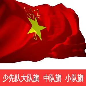 少先队员队旗