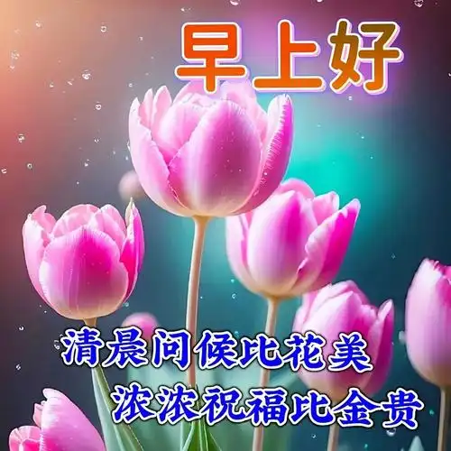 夏天暖心问候语祝福2023漂亮精美早安动图
