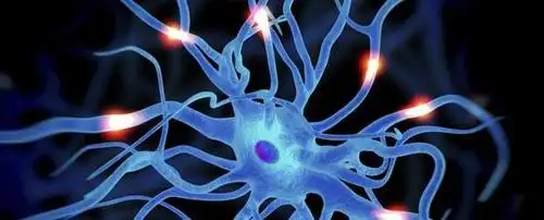 active nerve cell or neurons