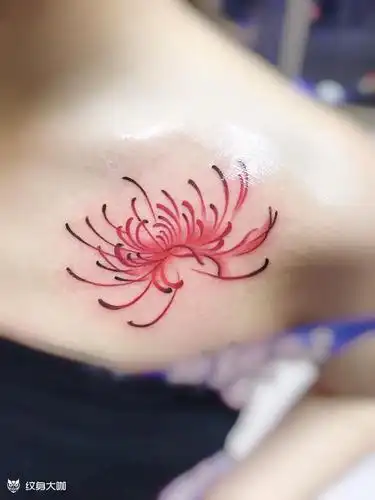 彼岸花_纹身图案手稿图片_易治成的纹身作品集