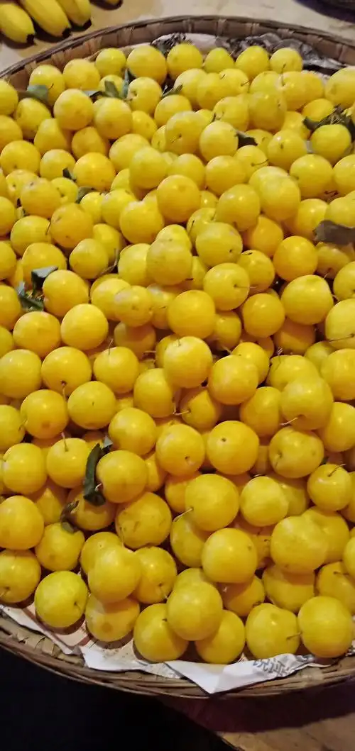 【成都～成都】丙察察线进藏苦旅第39天