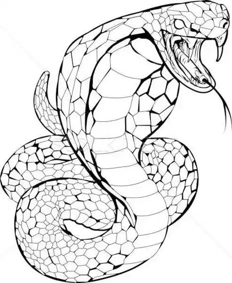 眼镜蛇的简笔画素描画蟒蛇蟒蛇简笔画