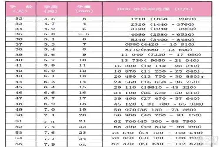 孕囊大小对照表50天孕囊形状看生男生女超准