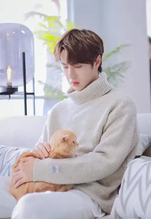 王一博尝试温柔男友风,看到和猫咪对视的瞬间,是心动啊_风格_样子_张