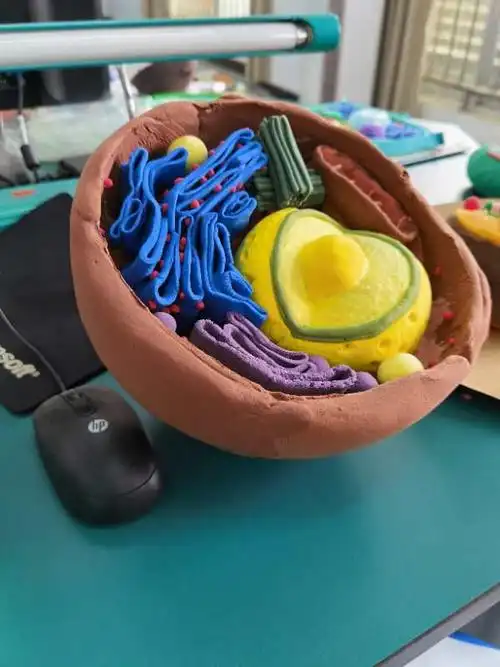 线粒体,细胞核,内质网,高尔基体,溶酶体……教科书级的细胞结构模型!