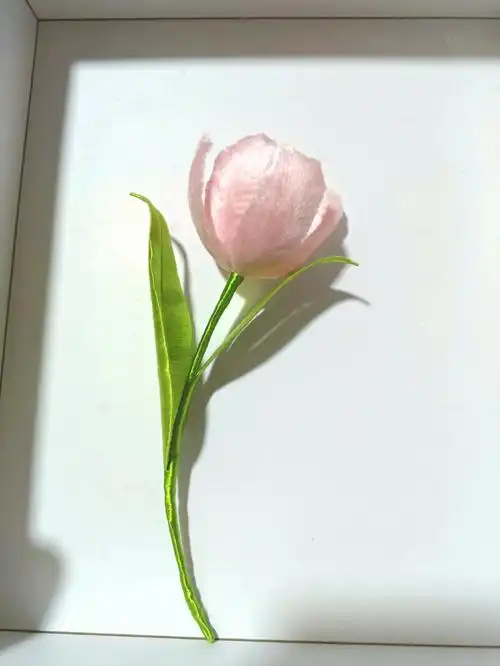 一朵粉色郁金香