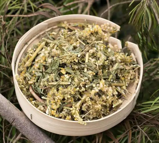 一枝黄花野生农家一支黄花新鲜采收草药老虎尿中药材干贵州