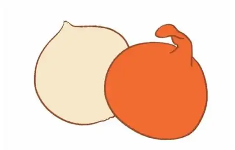 洋葱简笔画的画法步骤图解教程及图片大全,简笔画图片