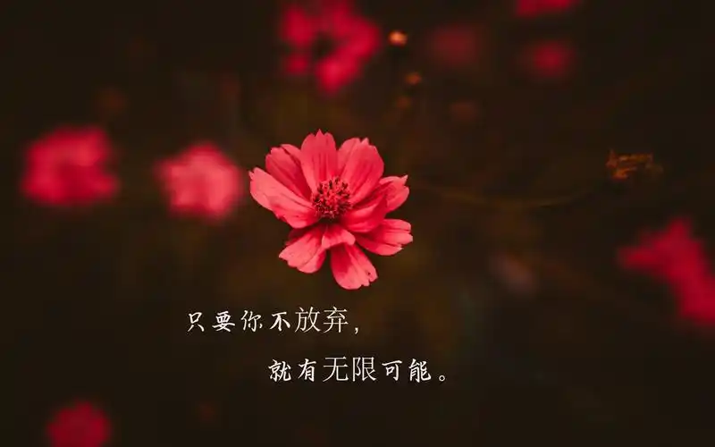 经典励志说说致自己带字配图