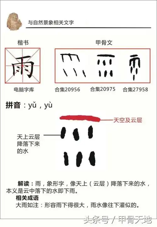 一日一字读甲骨雨