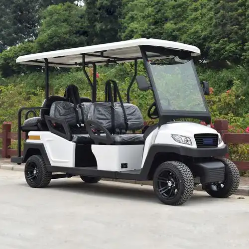 朗迈4 2座电瓶高尔夫球车 6座电动观光车看房车 贵宾接送电动车