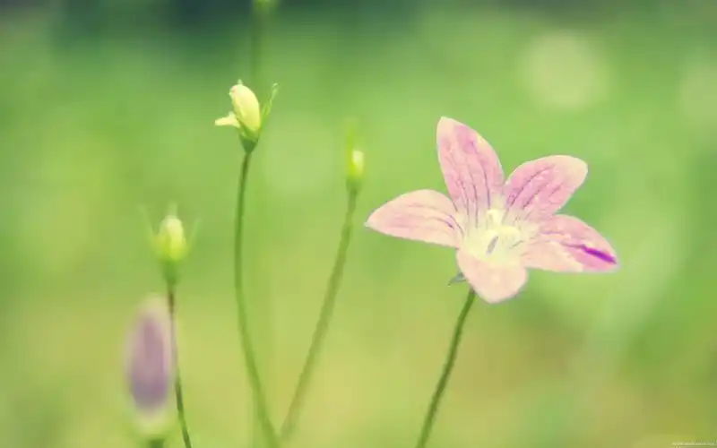 屌丝男的逆袭bylx