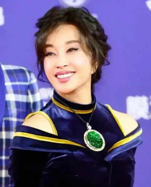 姜文刘晓庆翡翠知识(刘晓庆的翡翠到底是什么档次)  第4张