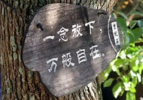 放下执念,智慧升起,便重新捡起来了