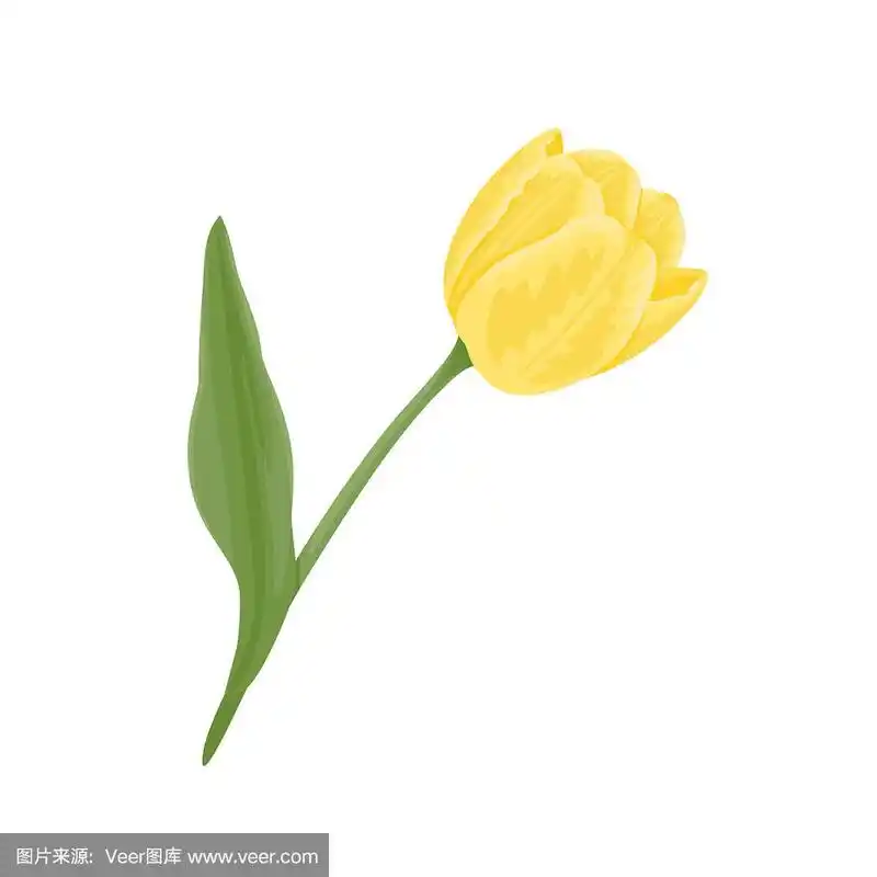 矢量插图,春天的花图标在卡通平面风格.