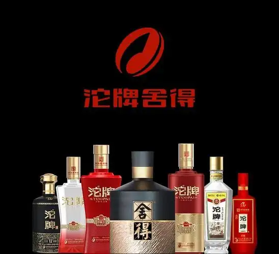 沱牌舍得项目考察申请表