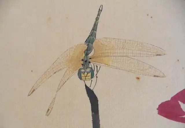 齐白石为什么画一只蜻蜓可以卖690万,专家:放大看看就明白了