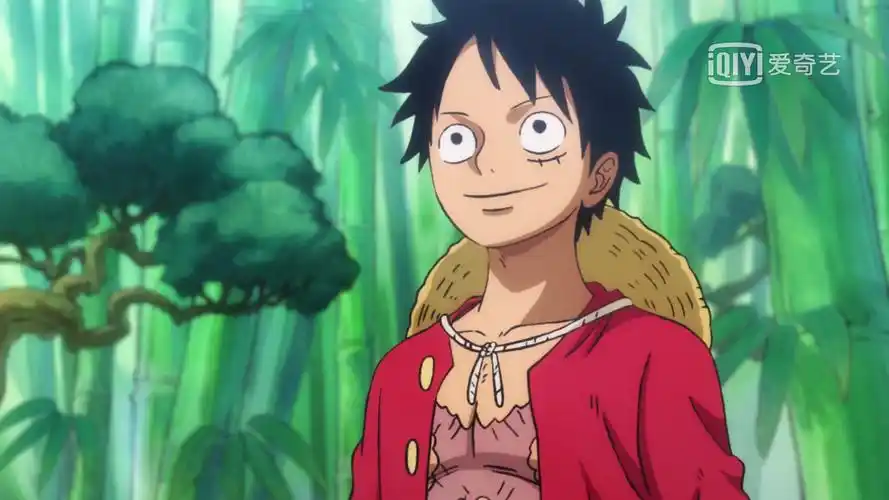 海贼王 和之国 自截 想艾斯