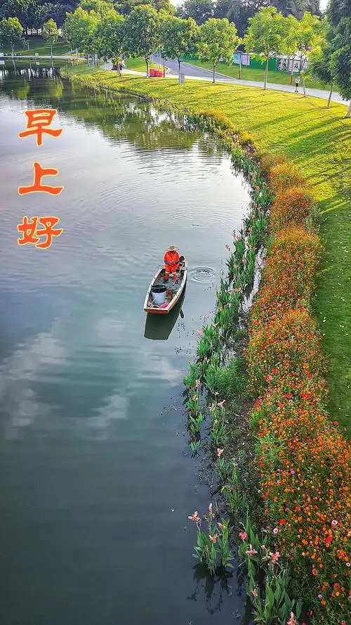 早上好(第四揖)柯君摄制