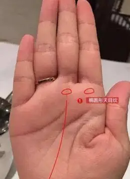 手相两种"通天纹", 据说预知能力很强, 有一种就能心想事成