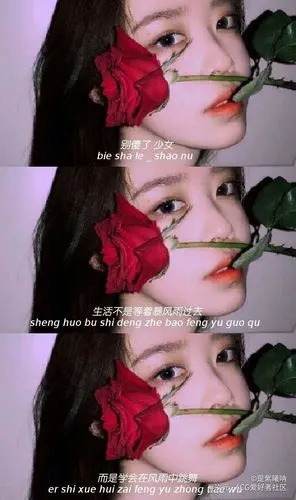 壁纸 文字 三屏