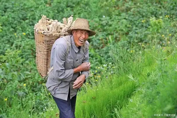 没有退休金的二大爷,每天这么生活