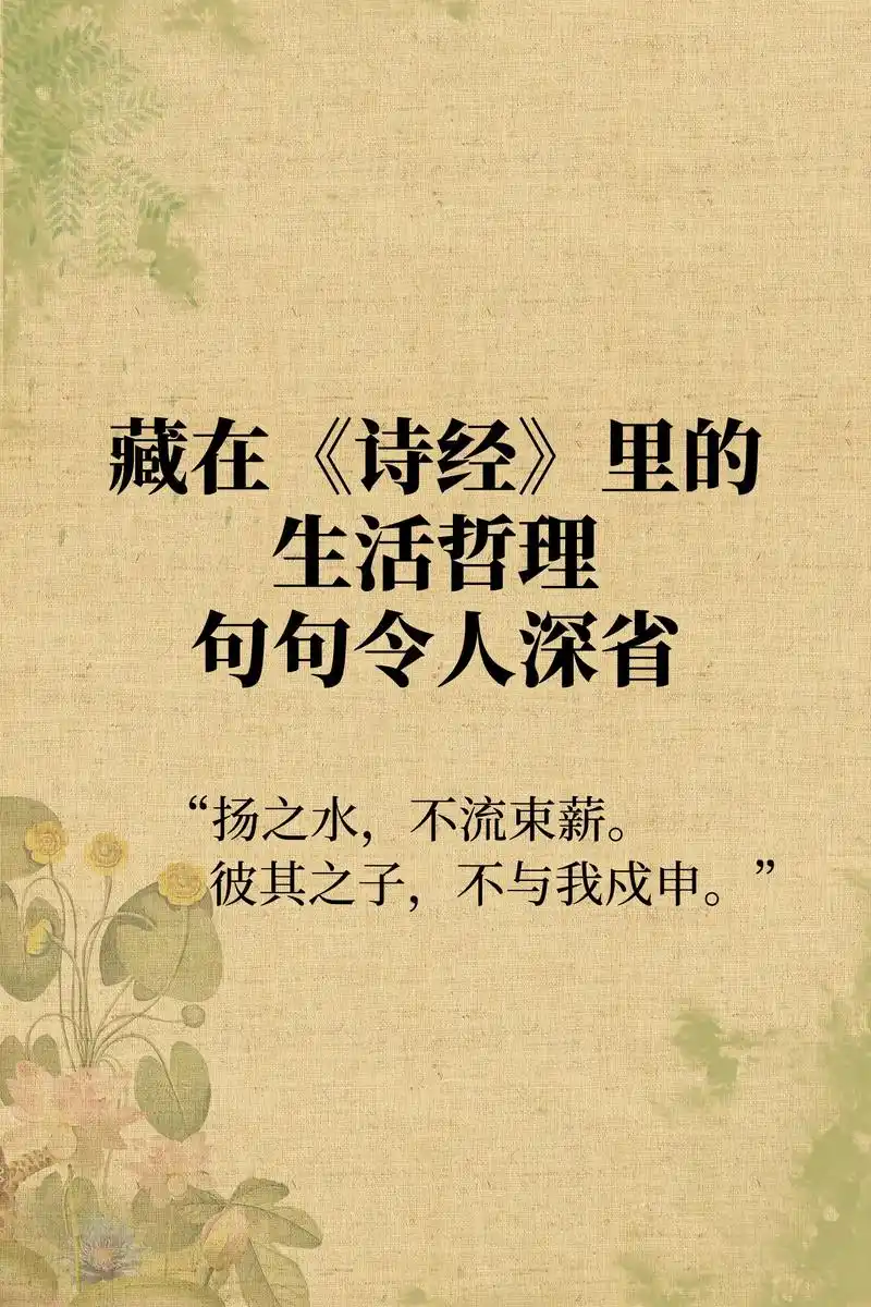 远方的思念:《扬之水》中戍守边疆的思念.相思无因见,怅望凉风 - 抖音