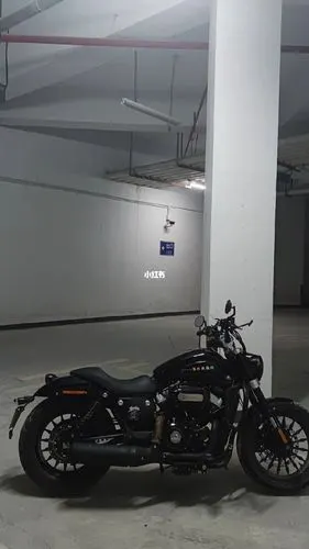 h黑武士金吉拉300