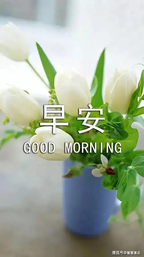 2021牛年漂亮的清晨好动态图片带字,早上好祝福语!