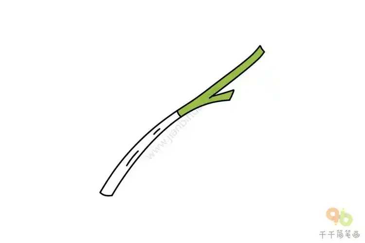 大葱简笔画怎么画