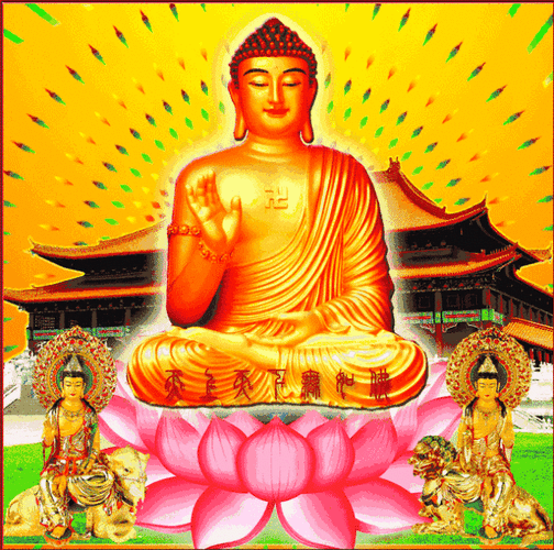 佛众菩萨顶礼南无本师释迦牟尼佛顶礼南无观世音菩萨顶礼南无阿弥陀佛