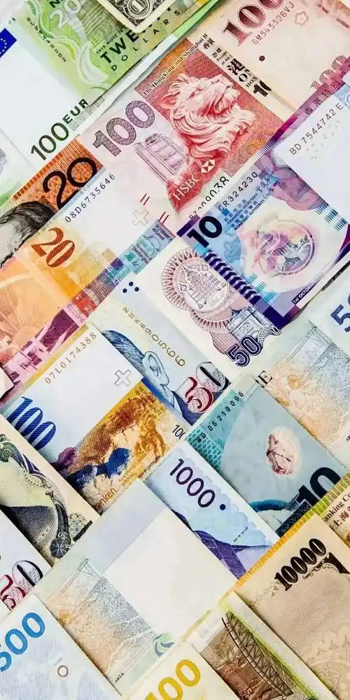 money手机壁纸祝你2022富一年