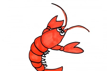 儿童小虾的画法