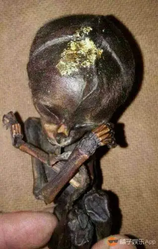 为什么说叶璇被下降头