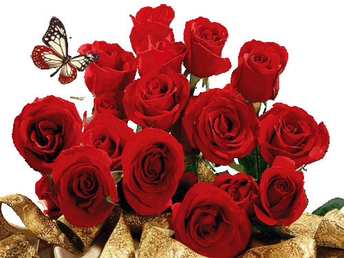 700_525gif 动态图 动图