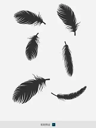 【黑白羽毛ps】图片免费下载_黑白羽毛ps素材_黑白羽毛ps模板-千图