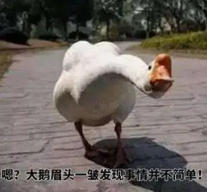 咬美女屁股啄帅哥裤裆农村大鹅猛的像个战神哈哈哈哈哈