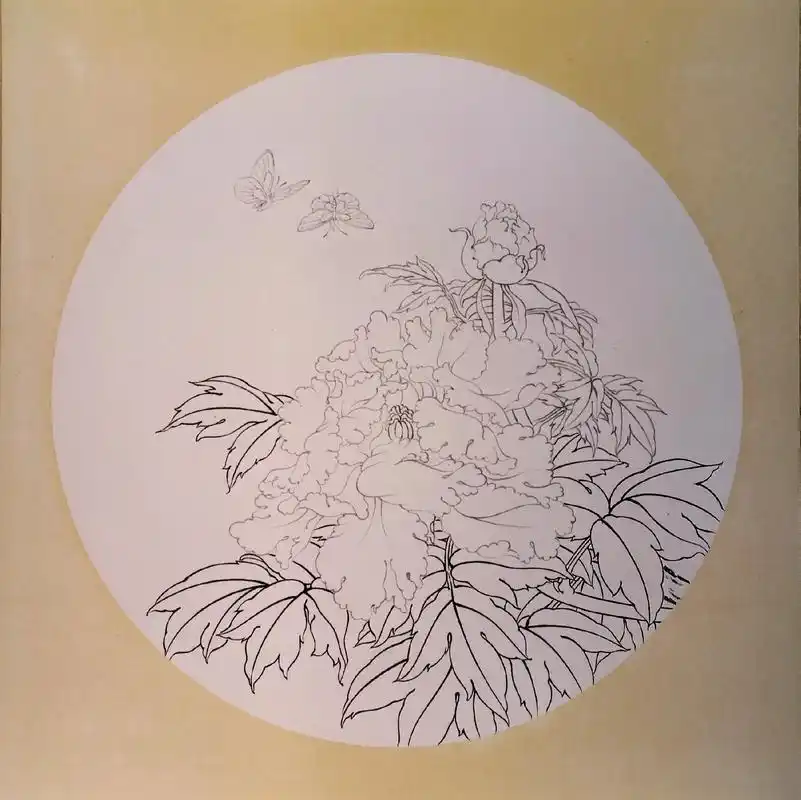 牡丹图线描稿已完成,今晚直播上颜色,欢迎大家来 - 抖音