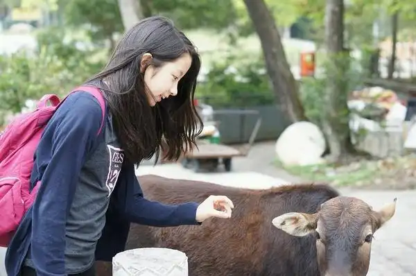 图片浏览最终页面