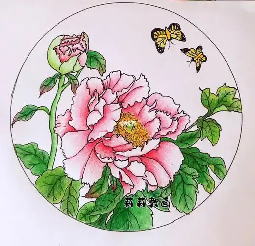 零基础牡丹花让你提笔能画